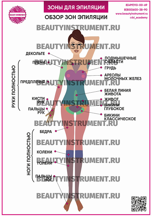 Купить Плакат А3 для косметолога "Зоны эпиляции вид спереди" по цене 1 490 руб.