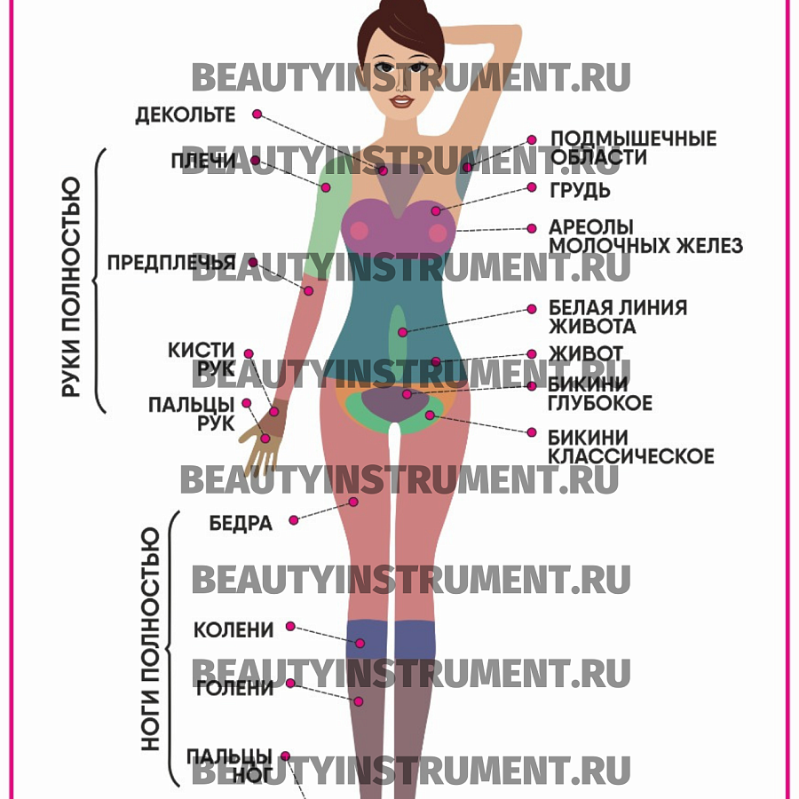 Плакат А3 для косметолога "Зоны эпиляции вид спереди"