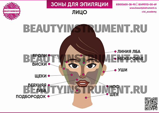Купить Плакат А3 для косметолога "Зоны для эпиляции лицо" по цене 1 490 руб.