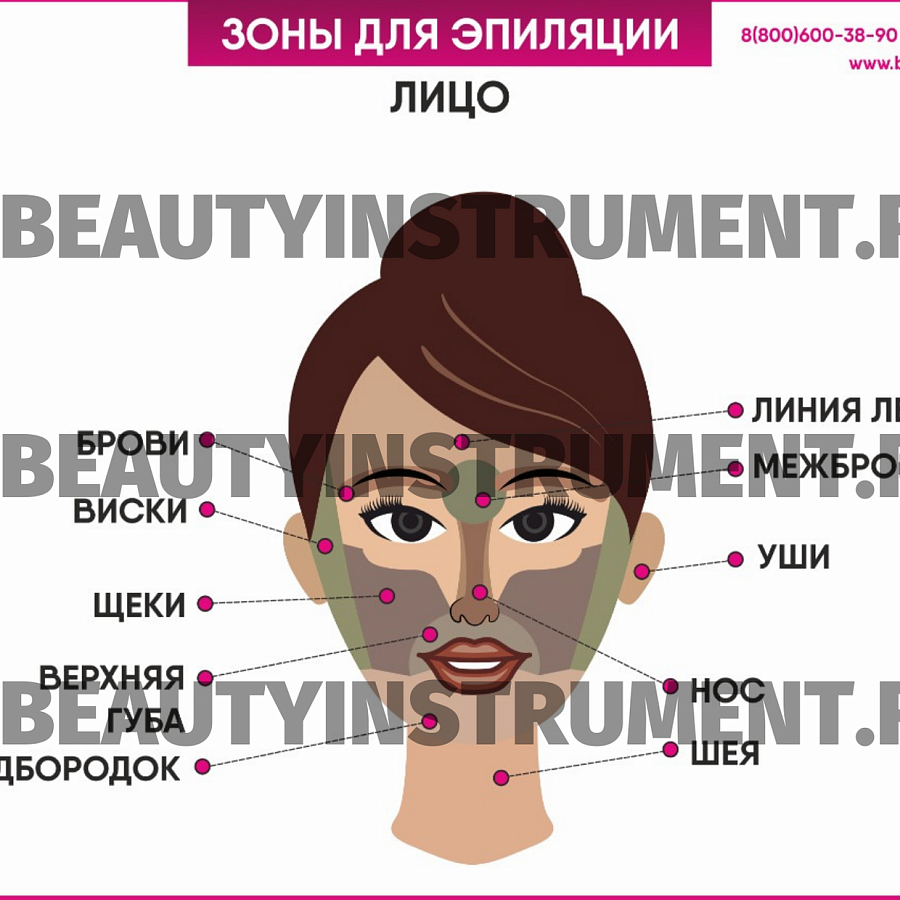Плакат А3 для косметолога "Зоны для эпиляции лицо"