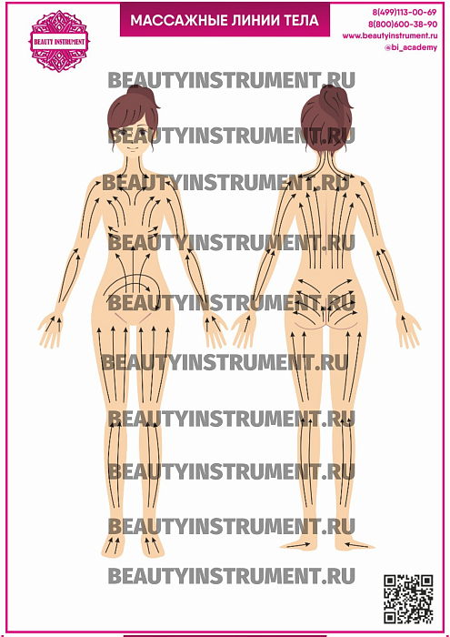 Купить Плакат А3 для косметолога "Массажные лини тела" по цене 1 490 руб.