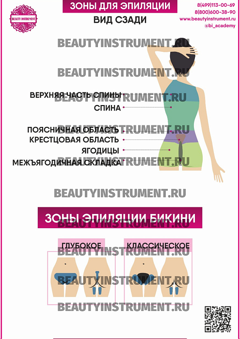 Купить Плакат А3 для косметолога "Зоны для эпиляции вид сзади" по цене 1 490 руб.