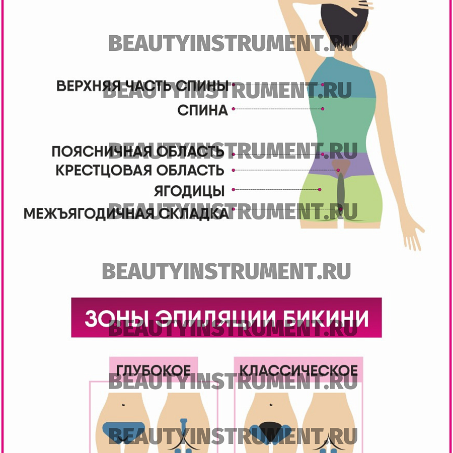 Плакат А3 для косметолога "Зоны для эпиляции вид сзади"